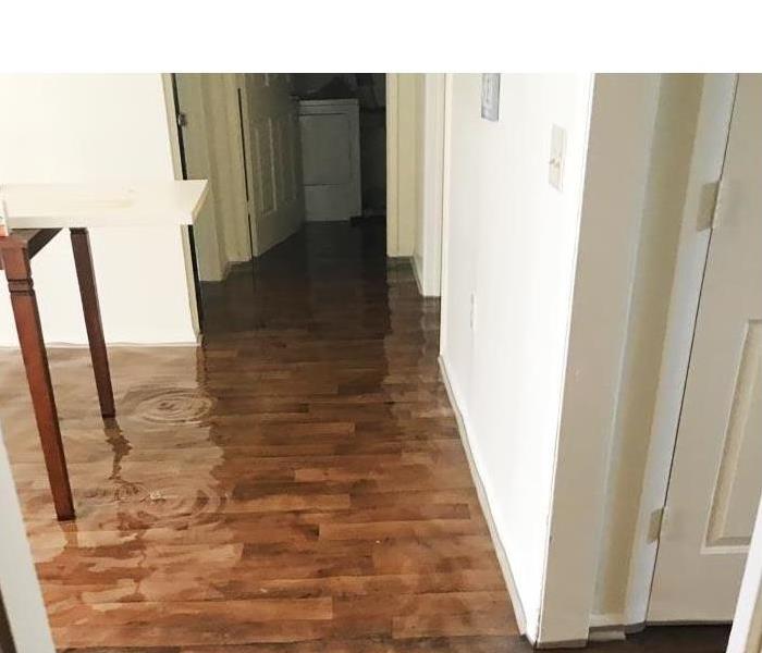 hardwood floor with standing water